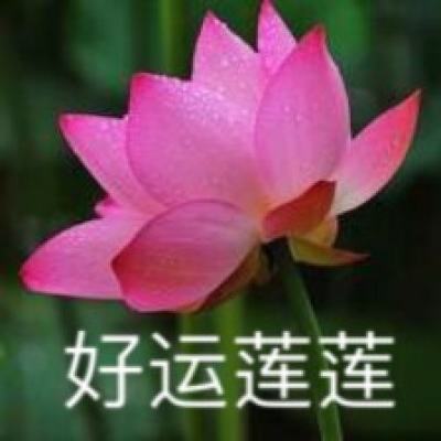 新文速递 | 郑泽民 ：甲午战争时期上海“中立”问题研究